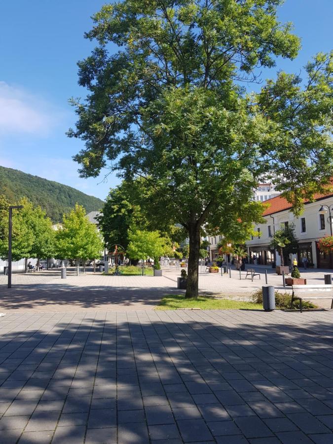 Pikk Trencianske Teplice Apartment Bagian luar foto