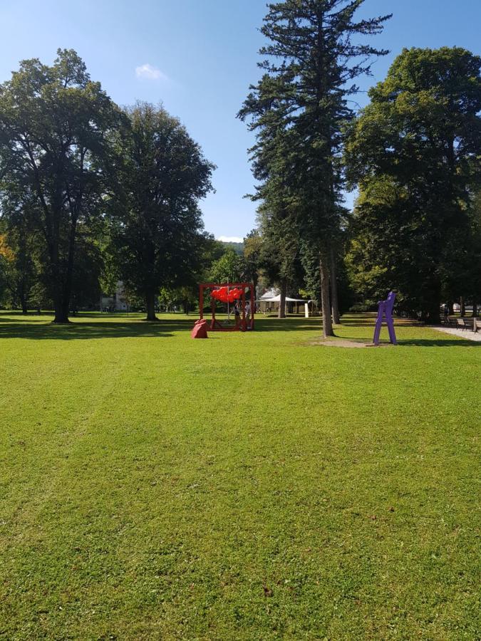 Pikk Trencianske Teplice Apartment Bagian luar foto